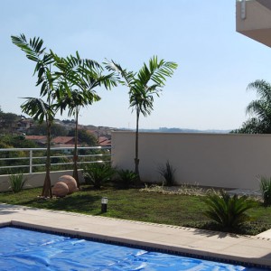 Pais.-Bosque-de-Grevilea-Adriana-02