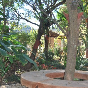Pais.-Sta-Fe-Luiza-06
